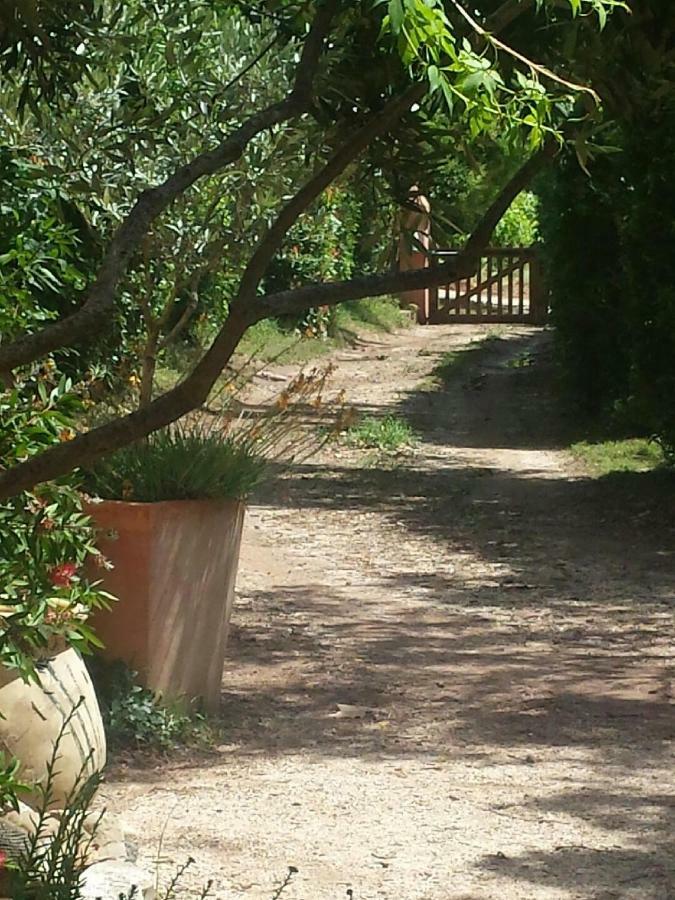 Les Anes De Petit Jean Hotel Pierrefeu-du-Var Kültér fotó