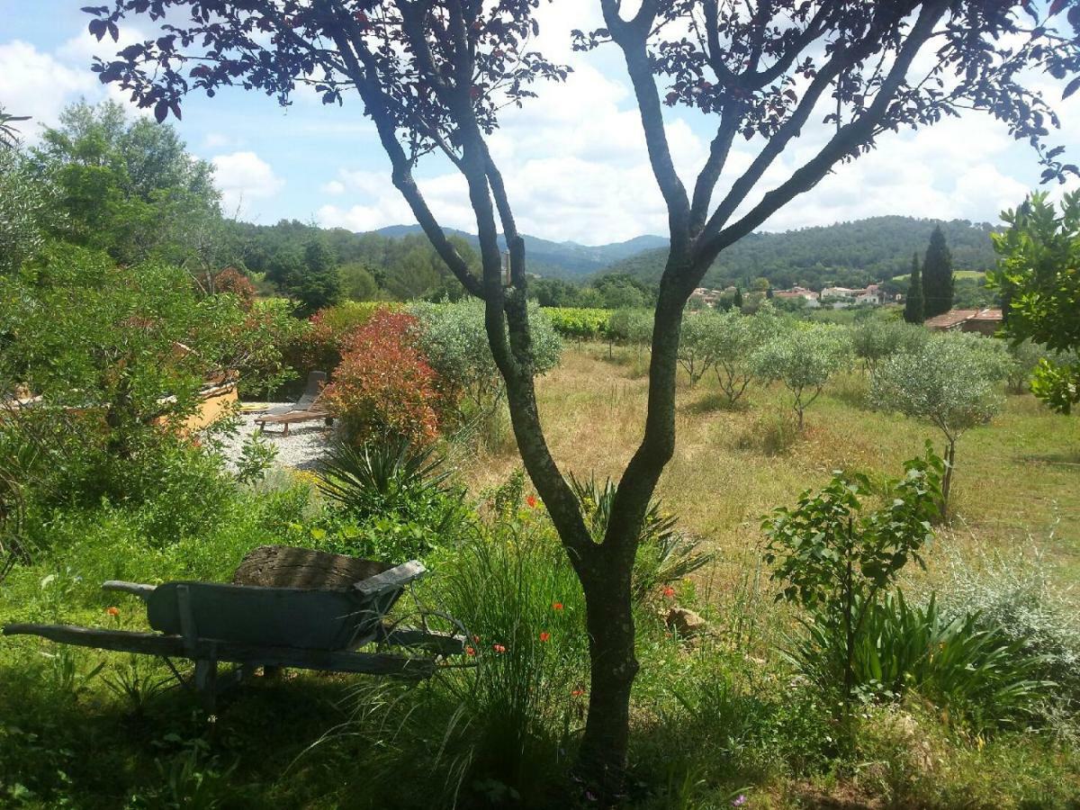 Les Anes De Petit Jean Hotel Pierrefeu-du-Var Kültér fotó