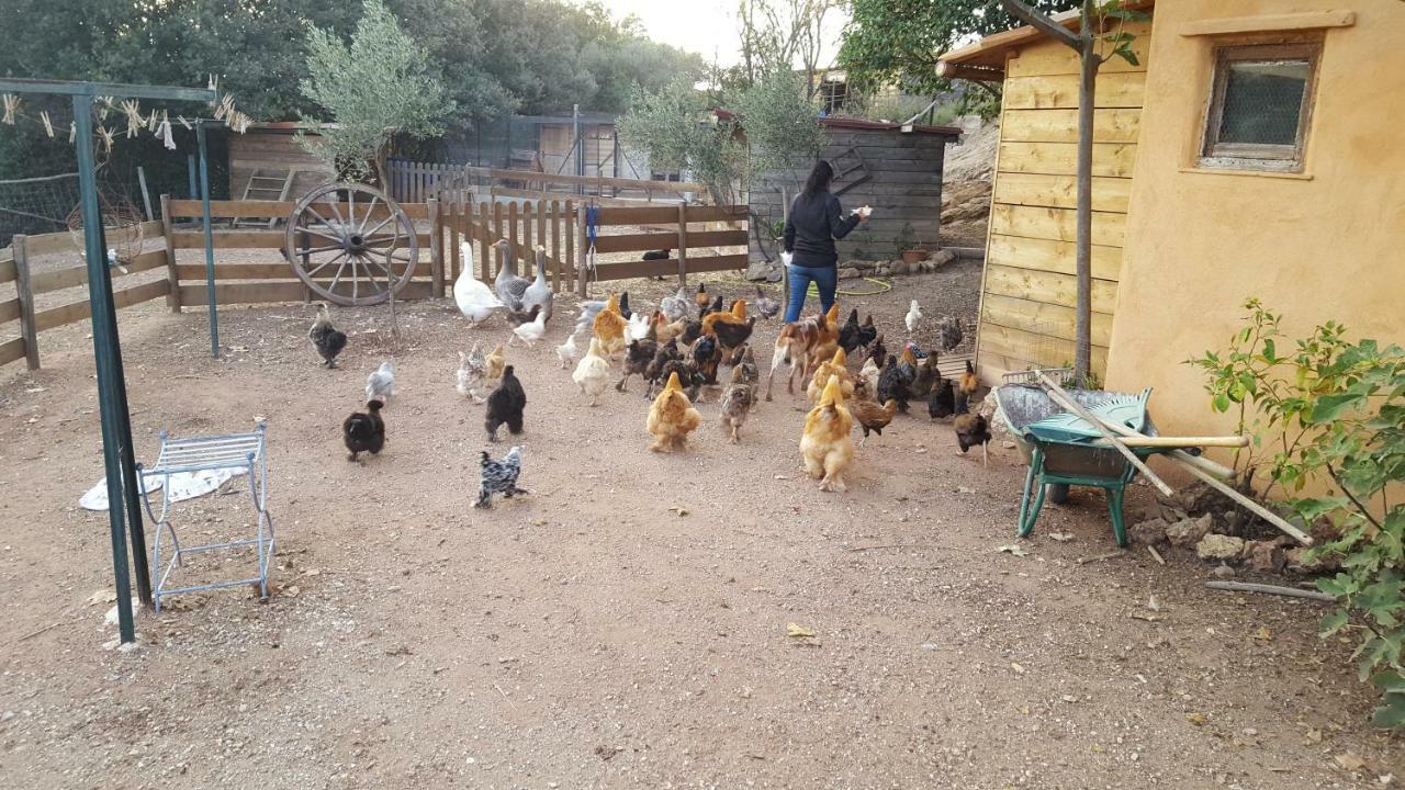 Les Anes De Petit Jean Hotel Pierrefeu-du-Var Kültér fotó