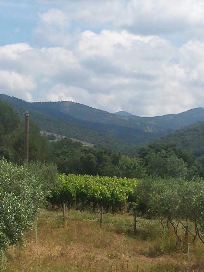 Les Anes De Petit Jean Hotel Pierrefeu-du-Var Kültér fotó